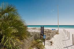 Dolphin Dreams- Walk to the beach!